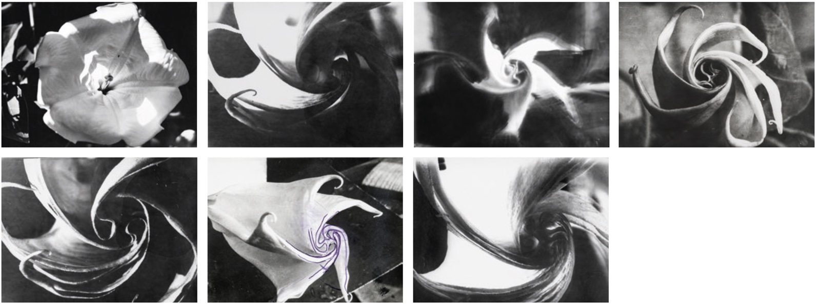 Jahresgabe Stefan Bertalan Fotocollage klein.jpg